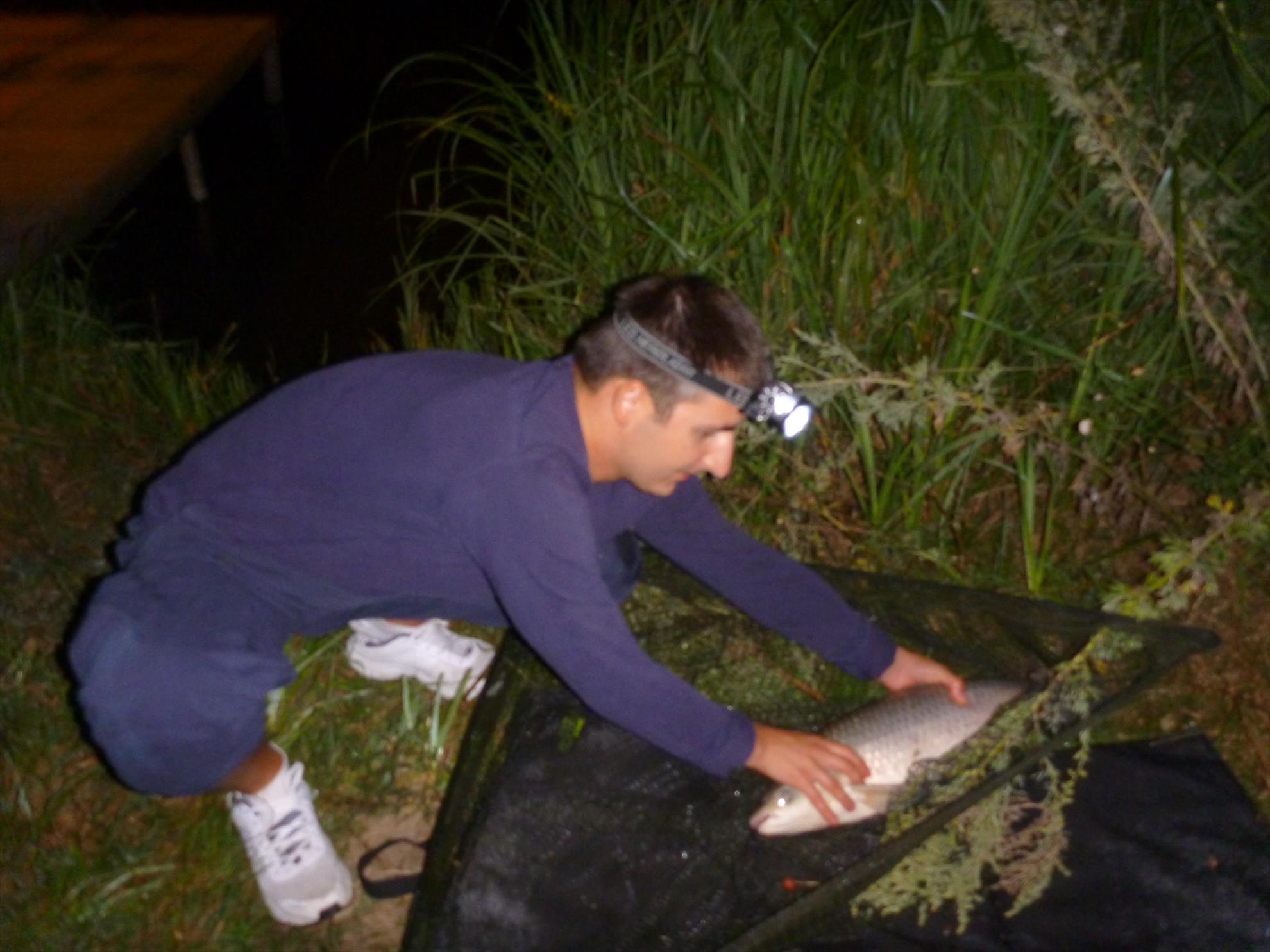 Magura 9 1 - 2 august 2014 - p1040490.JPG